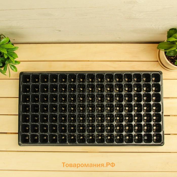 Кассета для рассады Greengo на 105 ячеек, по 20 мл, из пластика, чёрная, 55×29.5×3 см