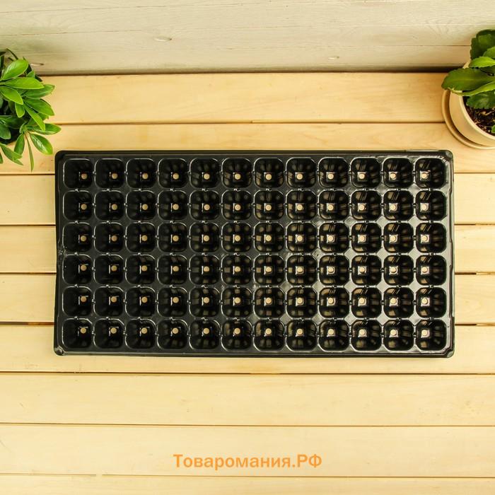 Кассета для рассады, на 72 ячейки, по 50 мл, из пластика, чёрная, 54×28×4 см, Greengo