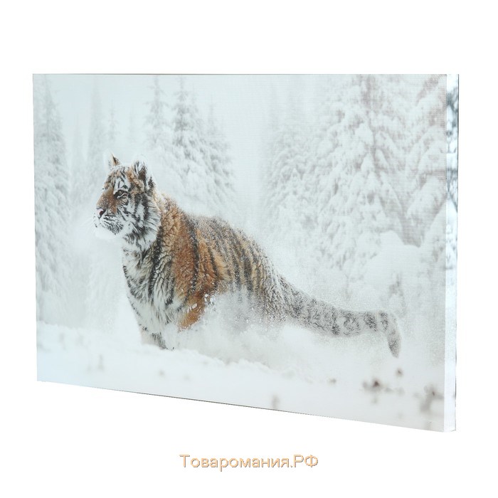 Картина на холсте "Тигр в снегу" 60*100 см