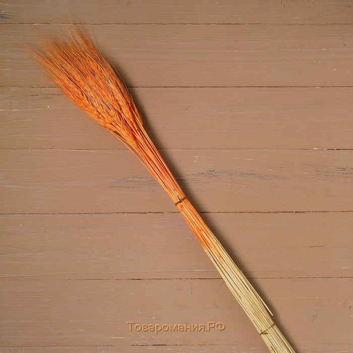 Сухой колос пшеницы, набор 50 шт., цвет оранжевый
