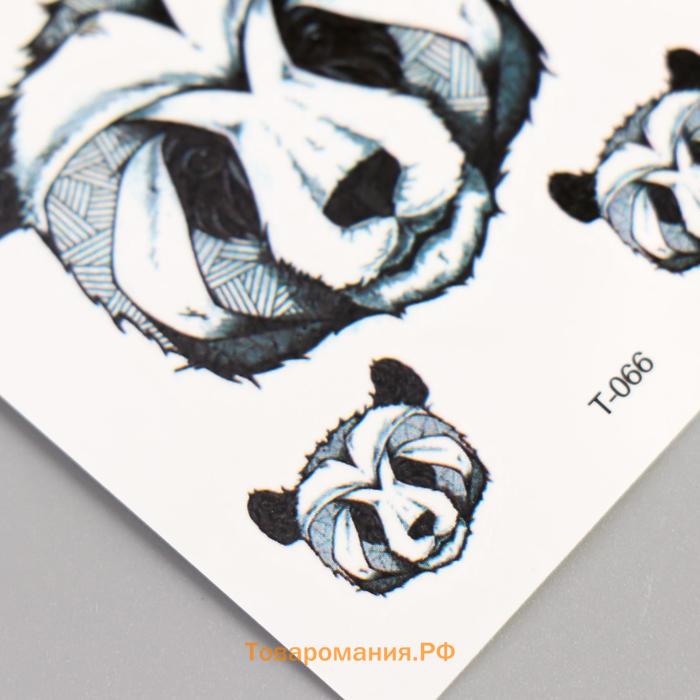 Татуировка на тело цветная "Панда-боксёр" 10,5х6 см