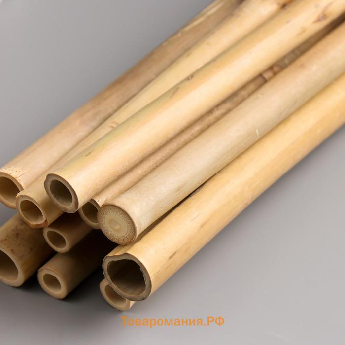 Декоративный бамбук 40 см, 10 шт