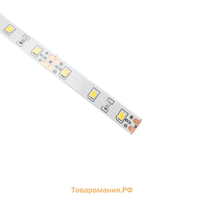 Светодиодная лента Ecola PRO 5 м, IP20, SMD2835, 60 LED/м, 8 Вт/м, 12 В, 4200К