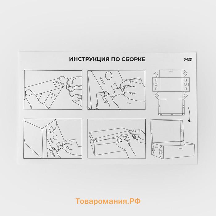 Коробка для хранения сапог с крышкой Uni size, 30×52×12 см, 2 шт.