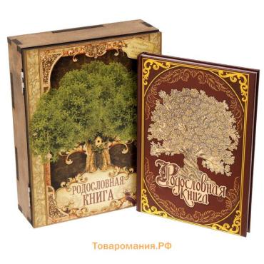 Родословная книга в шкатулке «Древо жизни», 56 листов, 20 х 26 см.