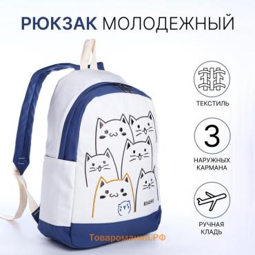 Рюкзак школьный Funny cats на молнии, с карманами, белый/синий